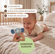 BabyBox — Kits de juego para el primer año (0–12 meses)